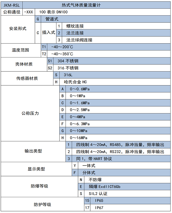 管段式熱式氣體質(zhì)量流量計選項表